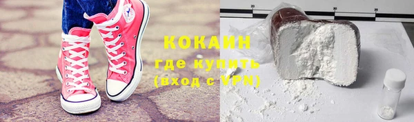 прущие грибы Надым