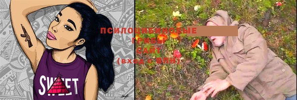 метадон Алексин