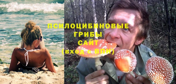 метадон Алексин