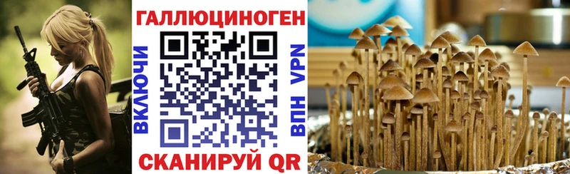 Галлюциногенные грибы прущие грибы Невинномысск