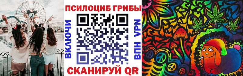 Галлюциногенные грибы Cubensis  Невинномысск 